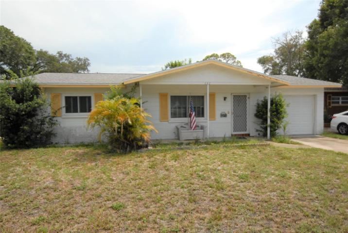 Large Front Yard