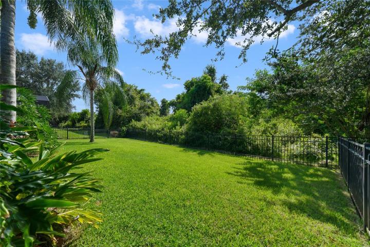 BACKYARD.
