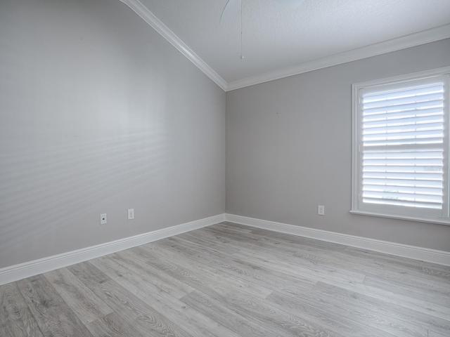 PLANTATION SHUTTERS AND CROWN MOLDING. VAULTED CEILING.