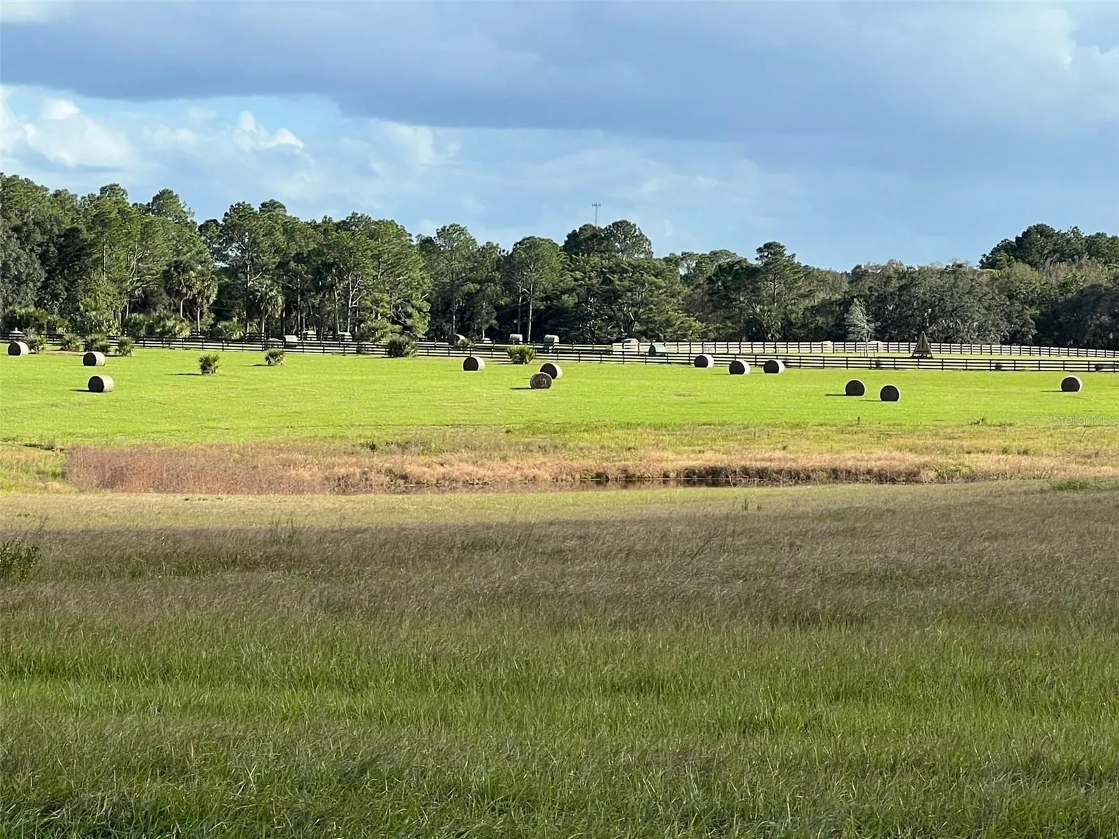 Ocklawaha, Florida 32179, 0 , 0 ,0,Land,For Sale,74TH LANE,0,OM662080