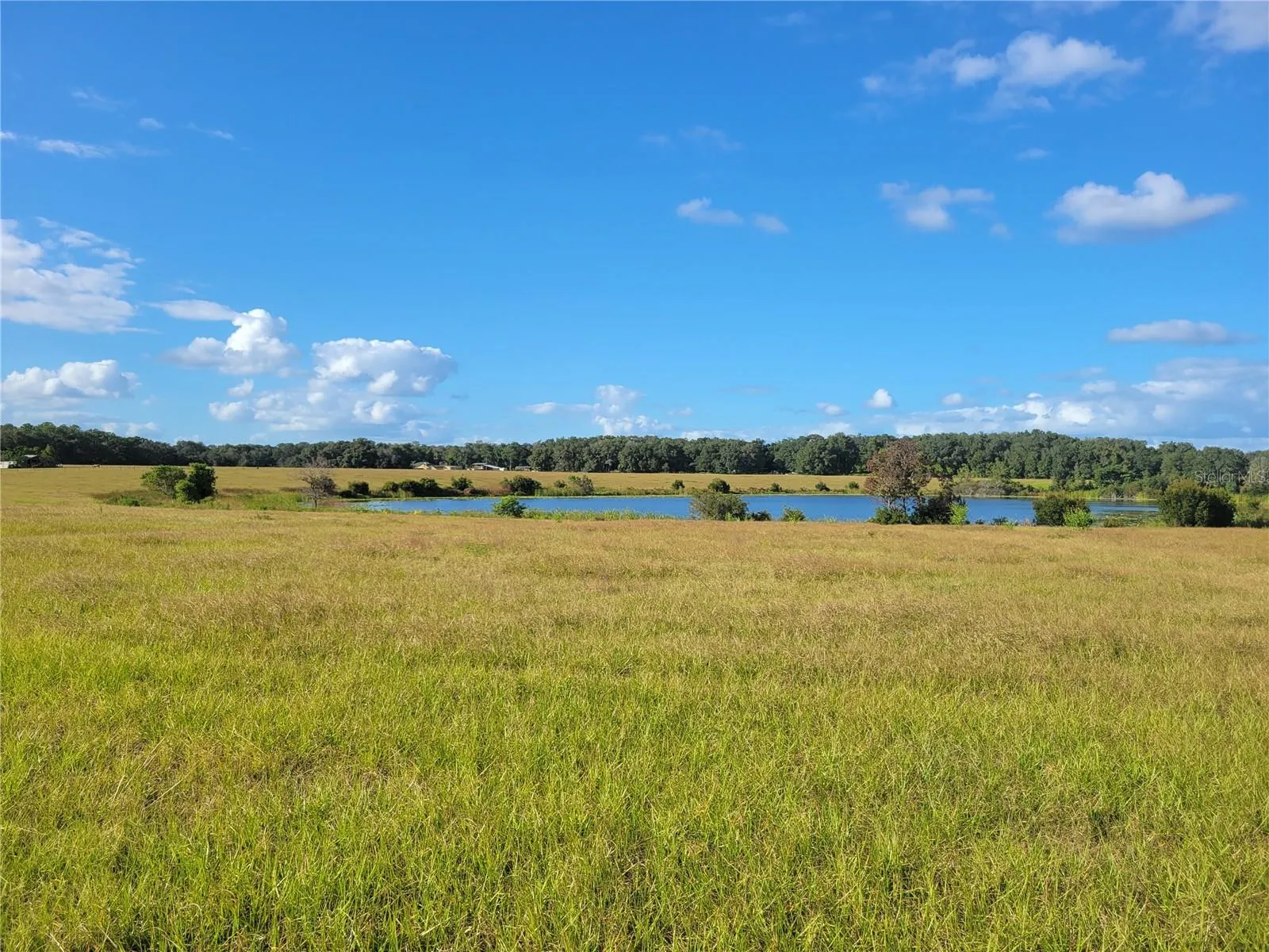 Ocklawaha, Florida 32179, 0 , 0 ,0,Land,For Sale,74TH LANE,0,OM662080