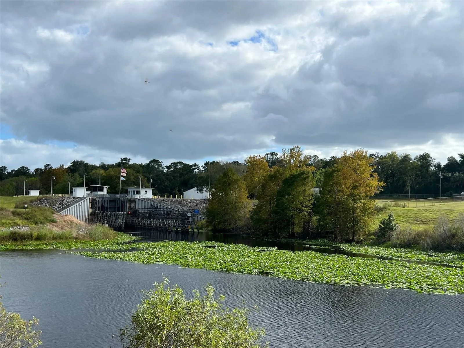 Ocklawaha, Florida 32179, 0 , 0 ,0,Land,For Sale,74TH LANE,0,OM662080