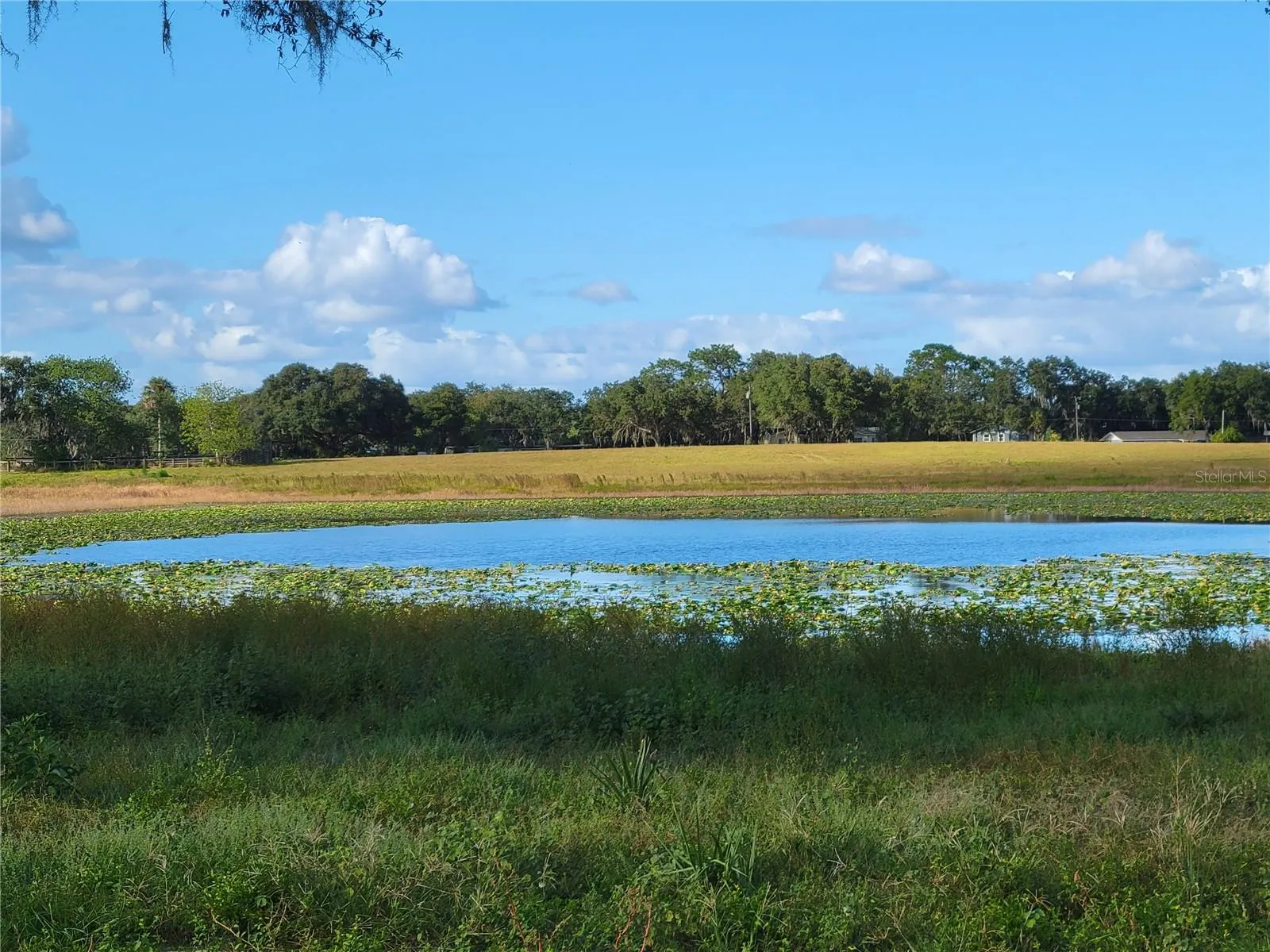 Ocklawaha, Florida 32179, 0 , 0 ,0,Land,For Sale,74TH LANE,0,OM662080