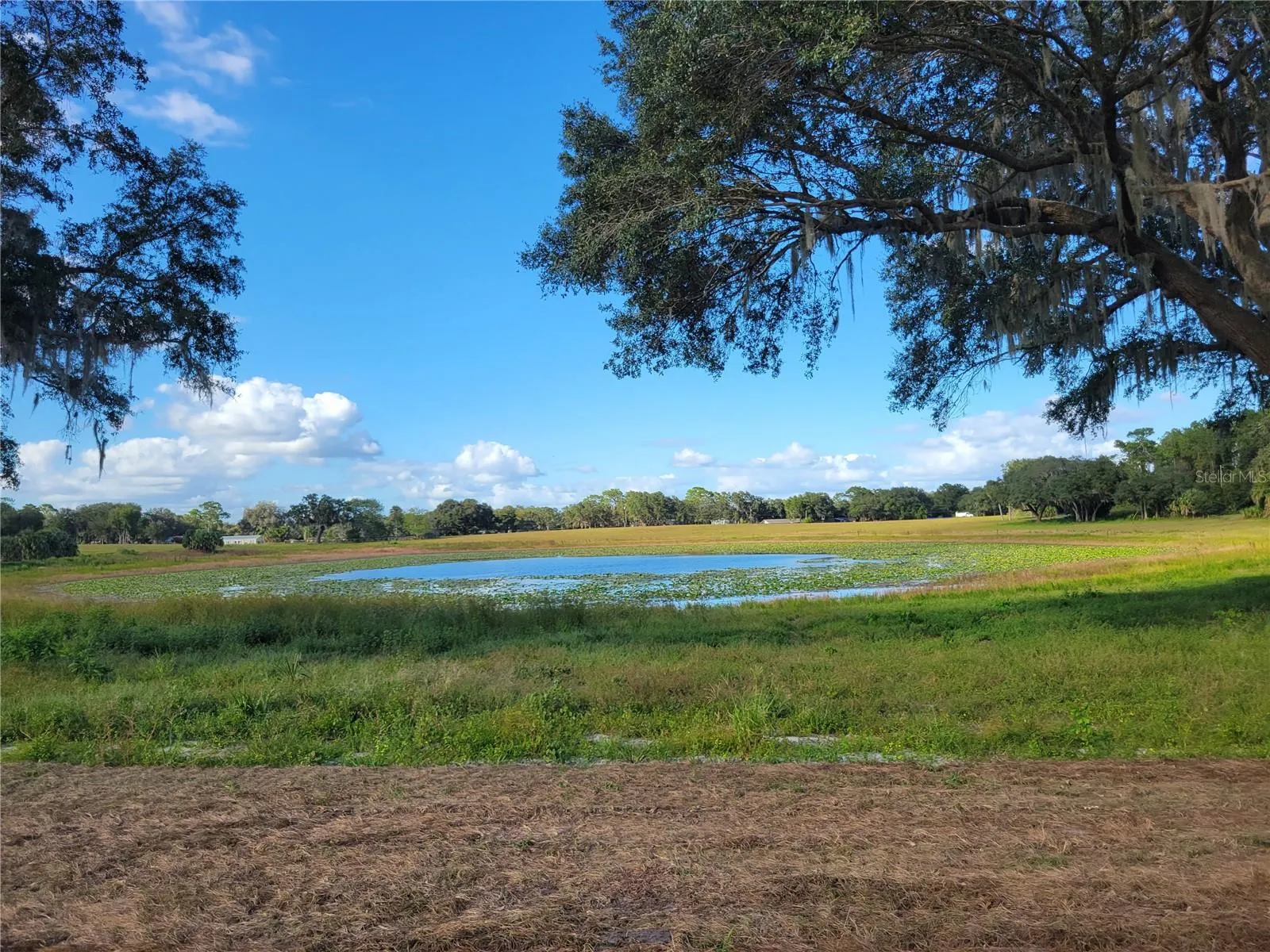 Ocklawaha, Florida 32179, 0 , 0 ,0,Land,For Sale,74TH LANE,0,OM662082