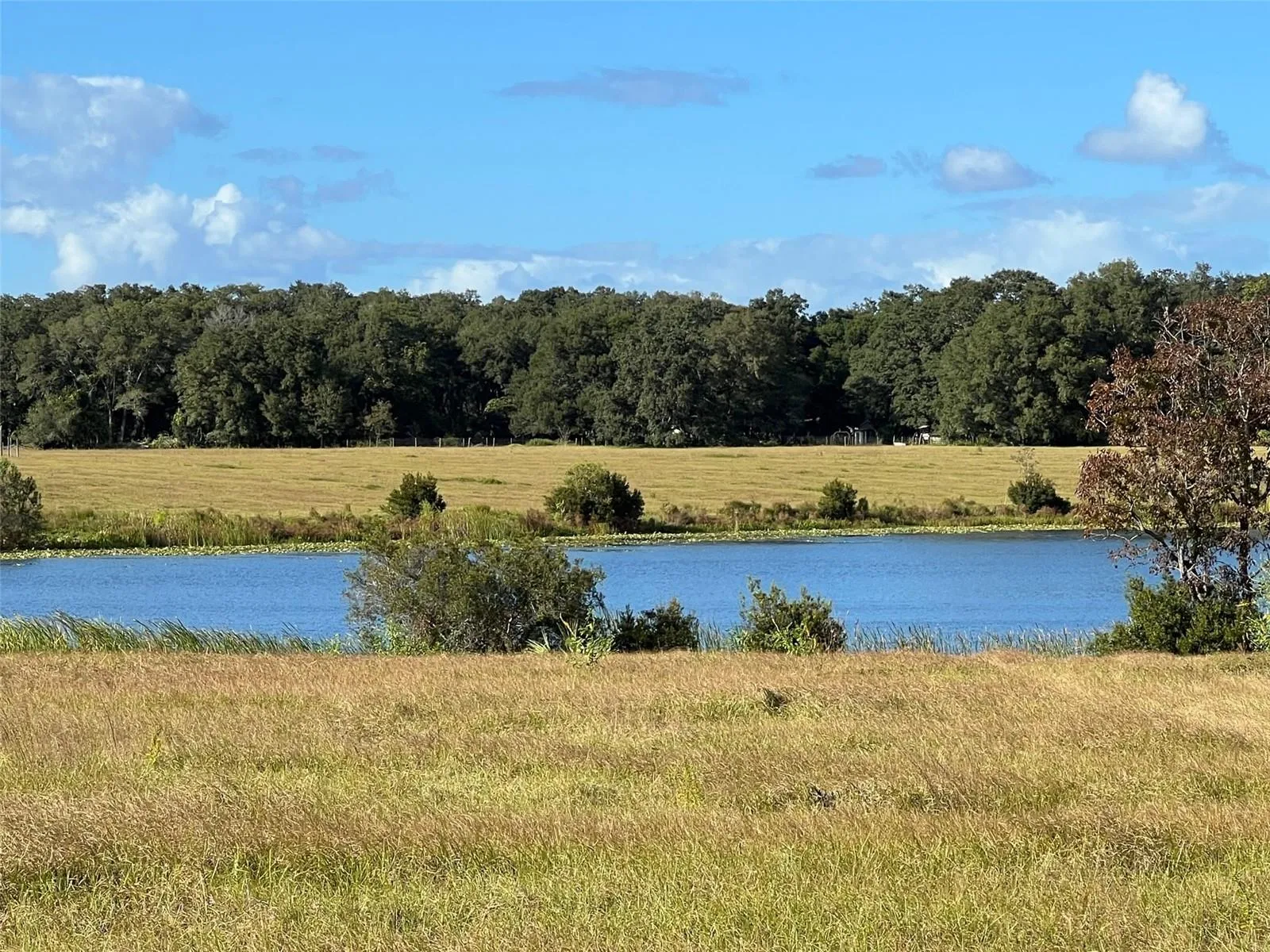 Ocklawaha, Florida 32179, 0 , 0 ,0,Land,For Sale,74TH LANE,0,OM662082