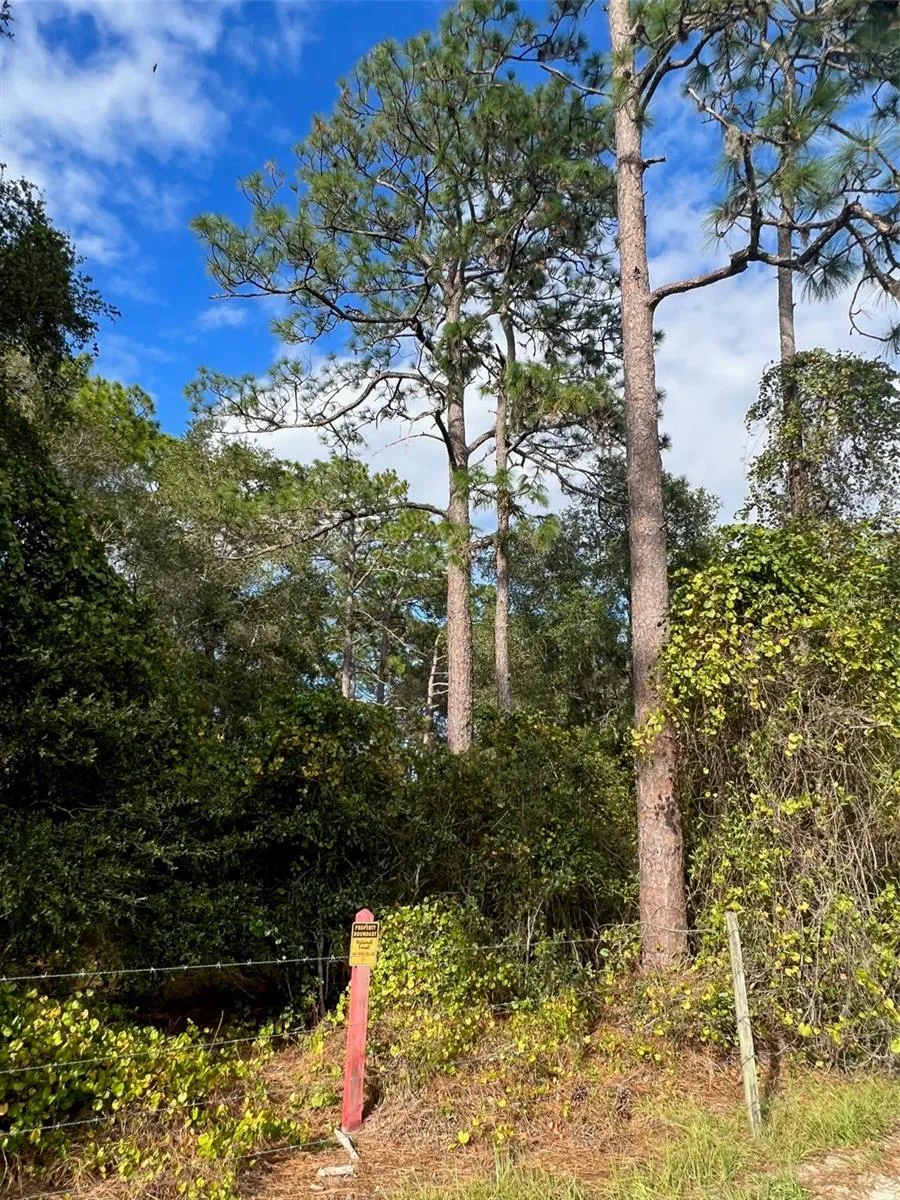 Ocklawaha, Florida 32179, 0 , 0 ,0,Land,For Sale,74TH LANE,0,OM662082