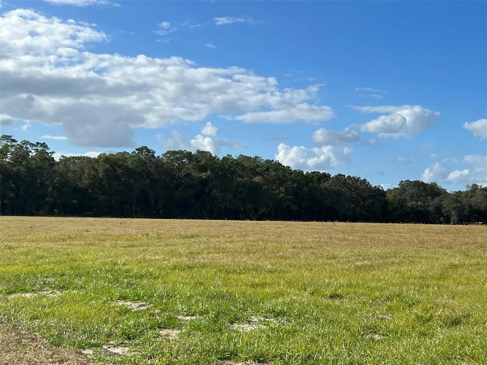Ocklawaha, Florida 32179, 0 , 0 ,0,Land,For Sale,74TH LANE,0,OM662082
