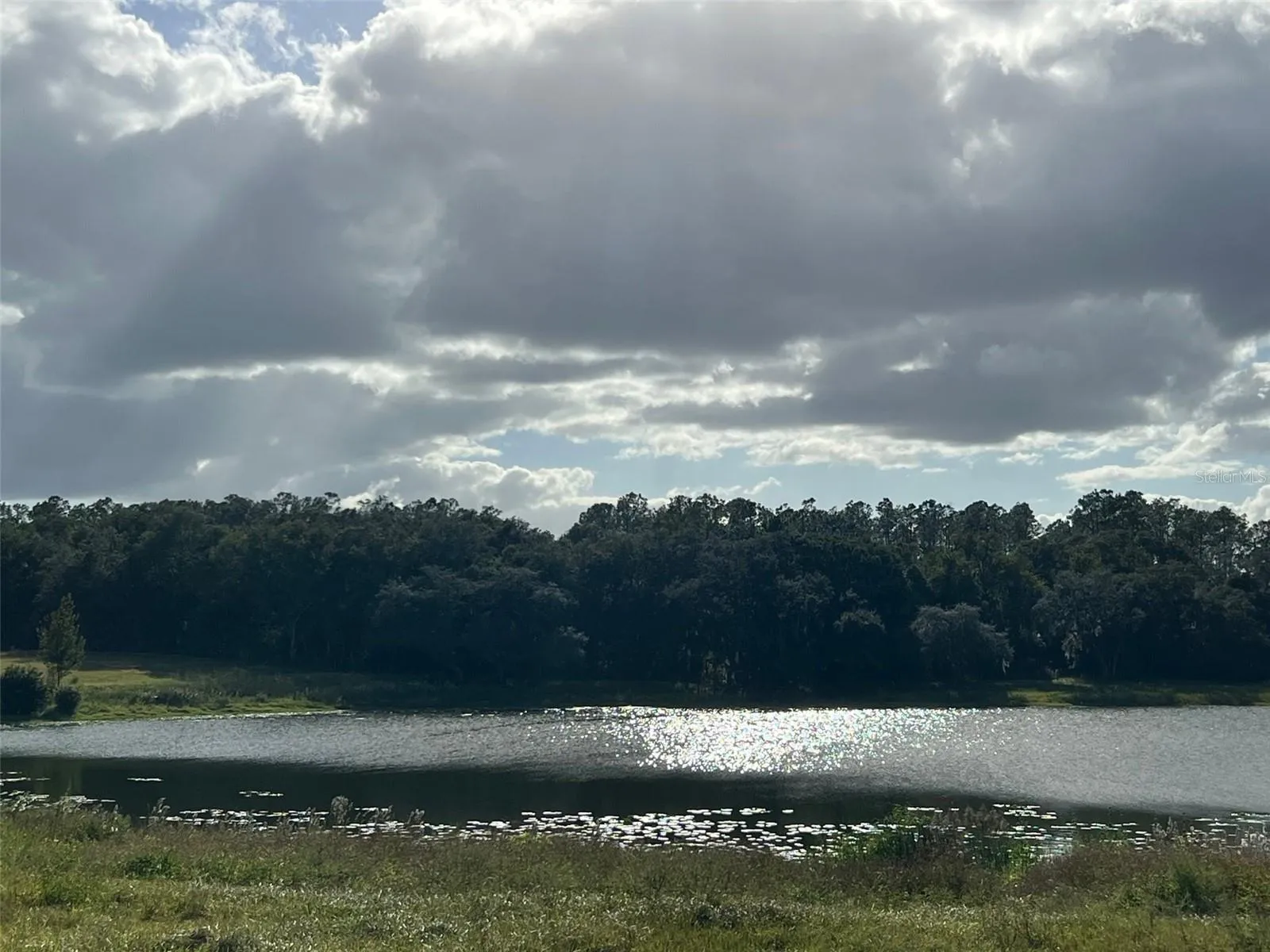 Ocklawaha, Florida 32179, 0 , 0 ,0,Land,For Sale,74TH LANE,0,OM662082