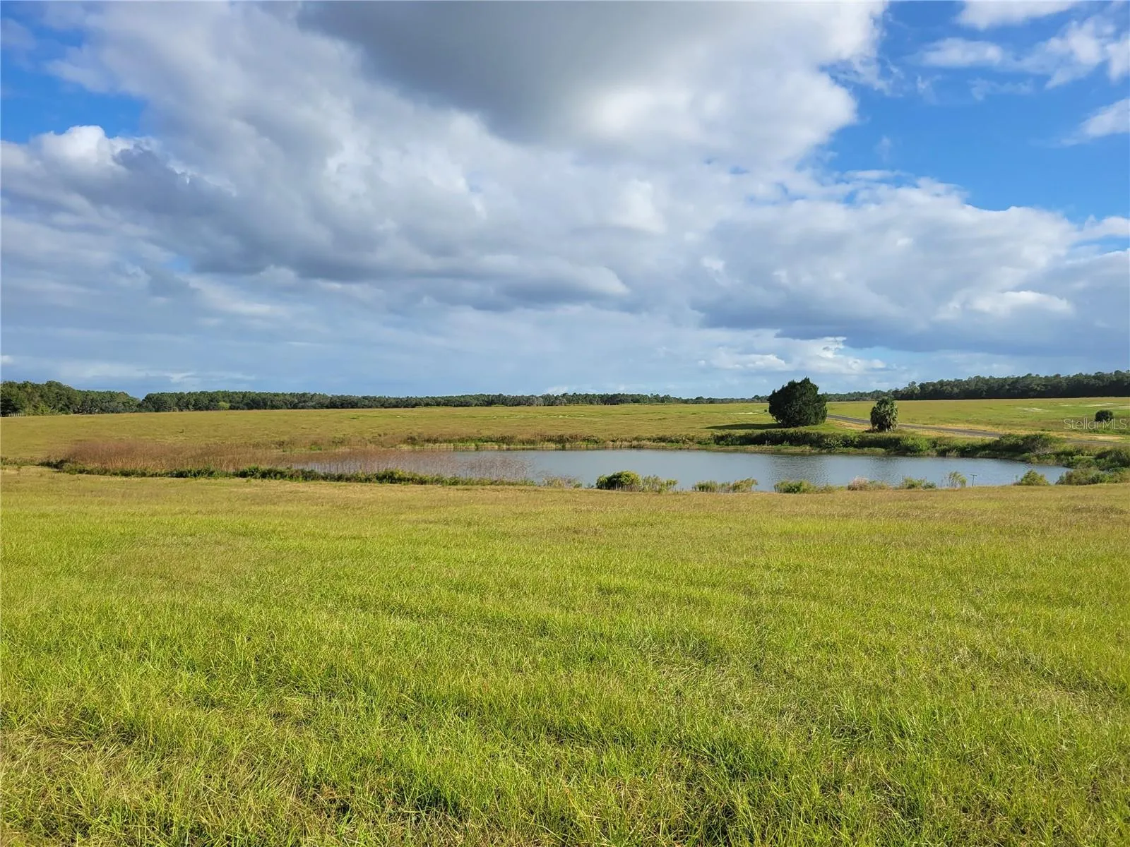 Ocklawaha, Florida 32179, 0 , 0 ,0,Land,For Sale,74TH LANE,0,OM662082