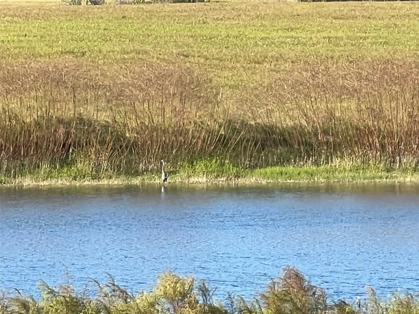 Ocklawaha, Florida 32179, 0 , 0 ,0,Land,For Sale,74TH LANE,0,OM662082