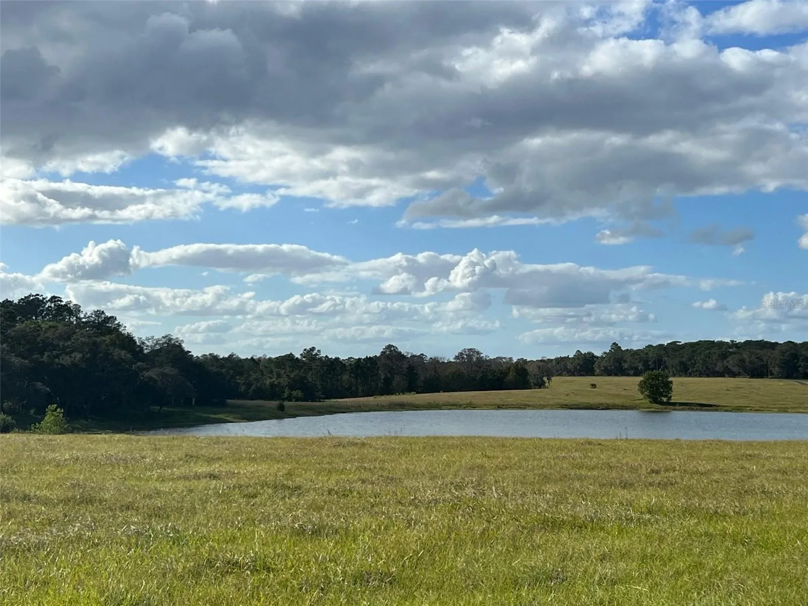 Ocklawaha, Florida 32179, 0 , 0 ,0,Land,For Sale,74TH LANE,0,OM662082