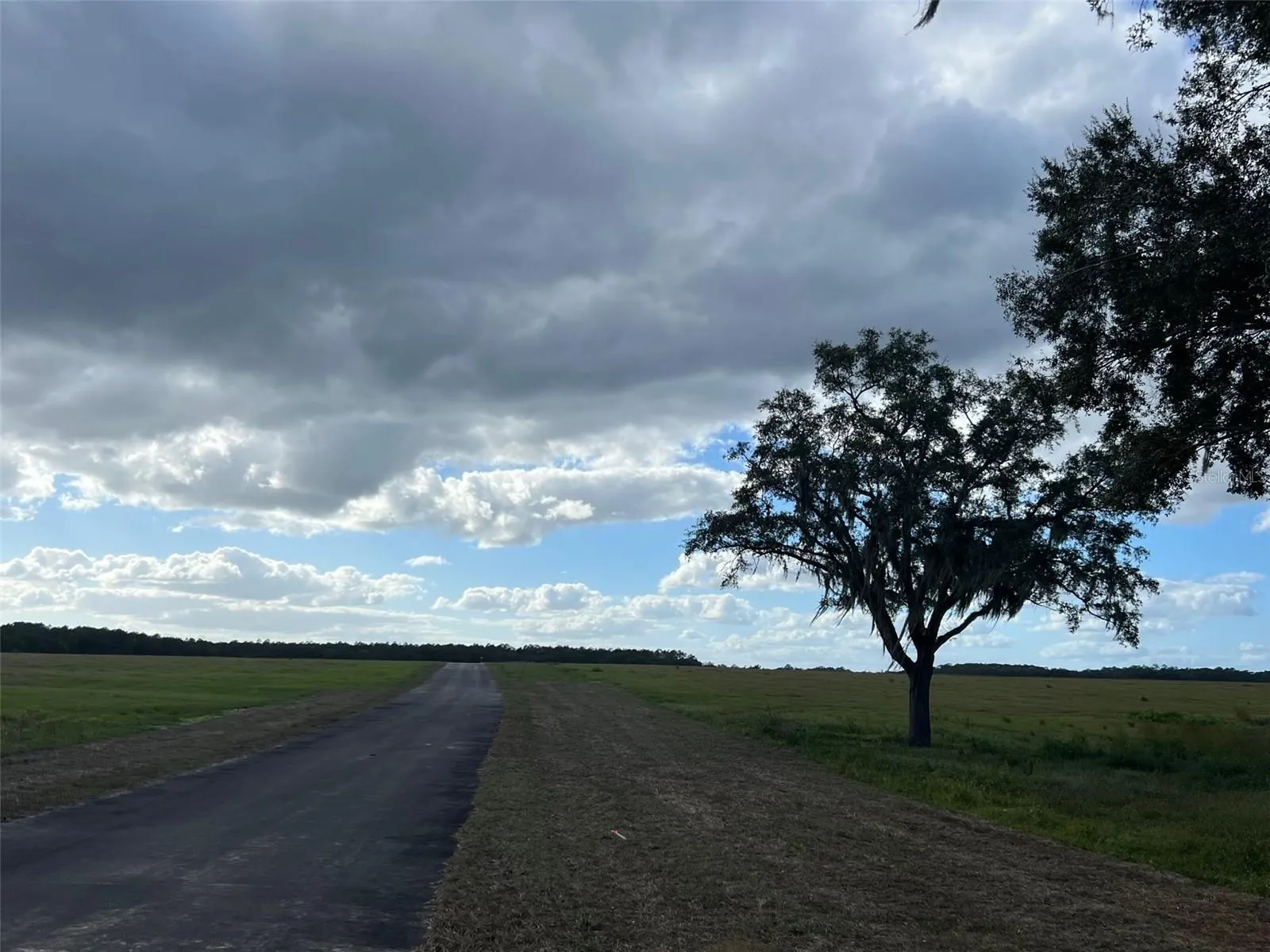 Ocklawaha, Florida 32179, 0 , 0 ,0,Land,For Sale,74TH LANE,0,OM662082