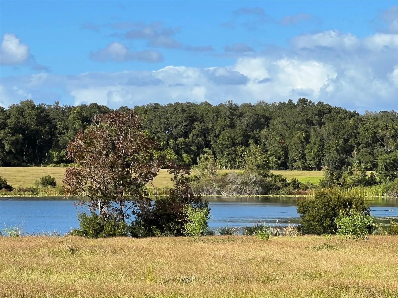 Ocklawaha, Florida 32179, 0 , 0 ,0,Land,For Sale,74TH LANE,0,OM662082