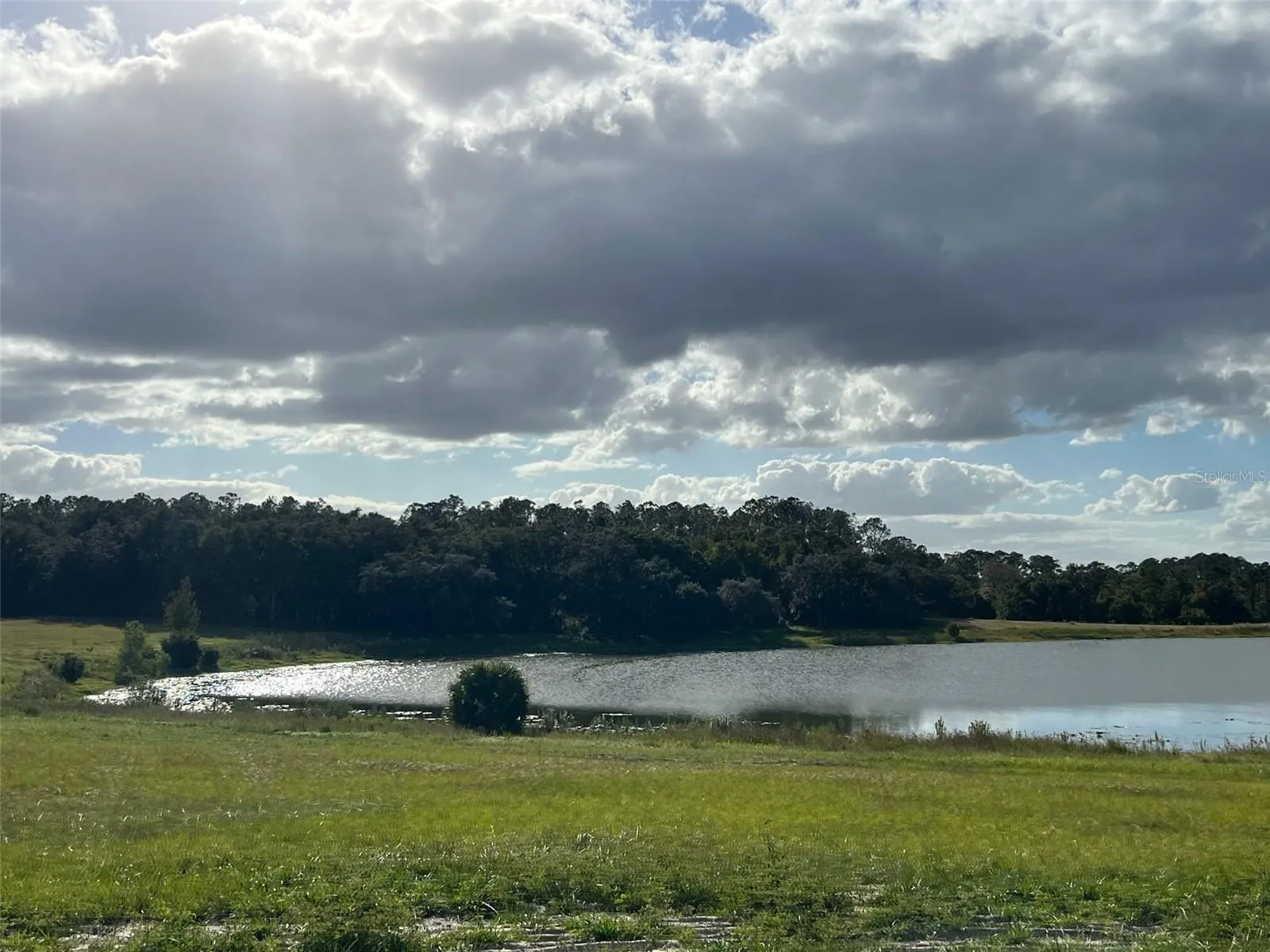 Ocklawaha, Florida 32179, 0 , 0 ,0,Land,For Sale,74TH LANE,0,OM662082