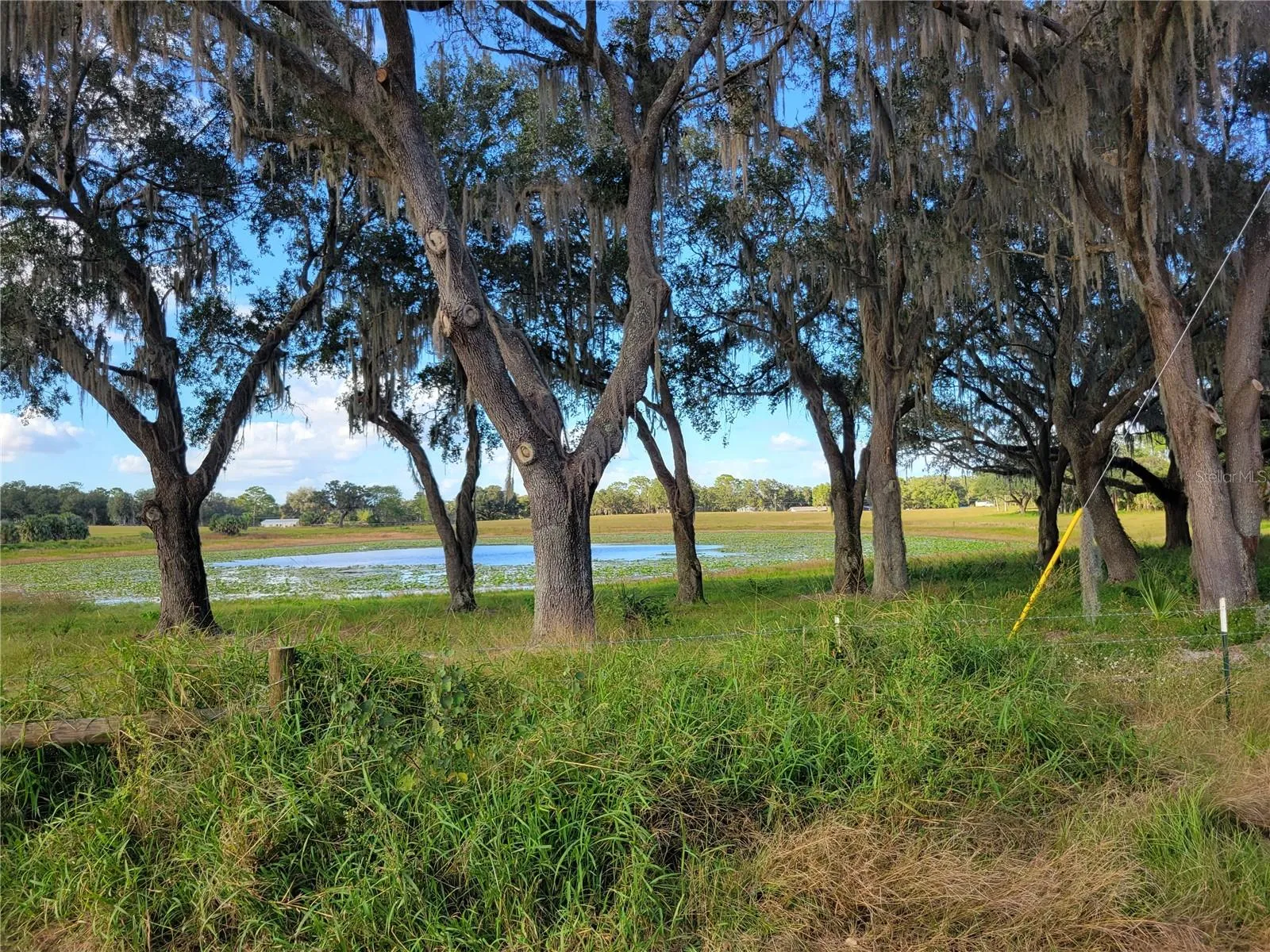 Ocklawaha, Florida 32179, 0 , 0 ,0,Land,For Sale,74TH LANE,0,OM662082