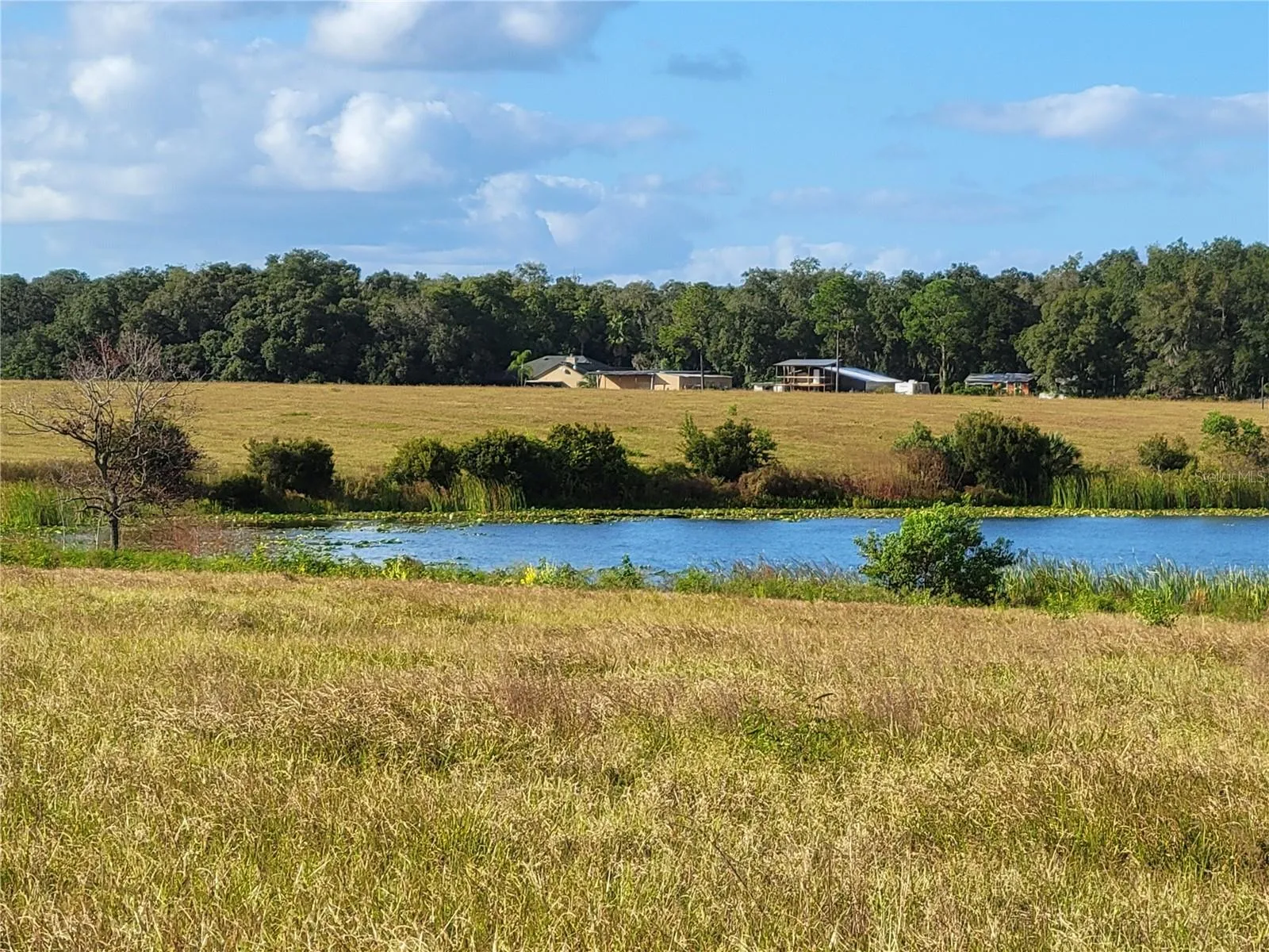 Ocklawaha, Florida 32179, 0 , 0 ,0,Land,For Sale,74TH LANE,0,OM662082