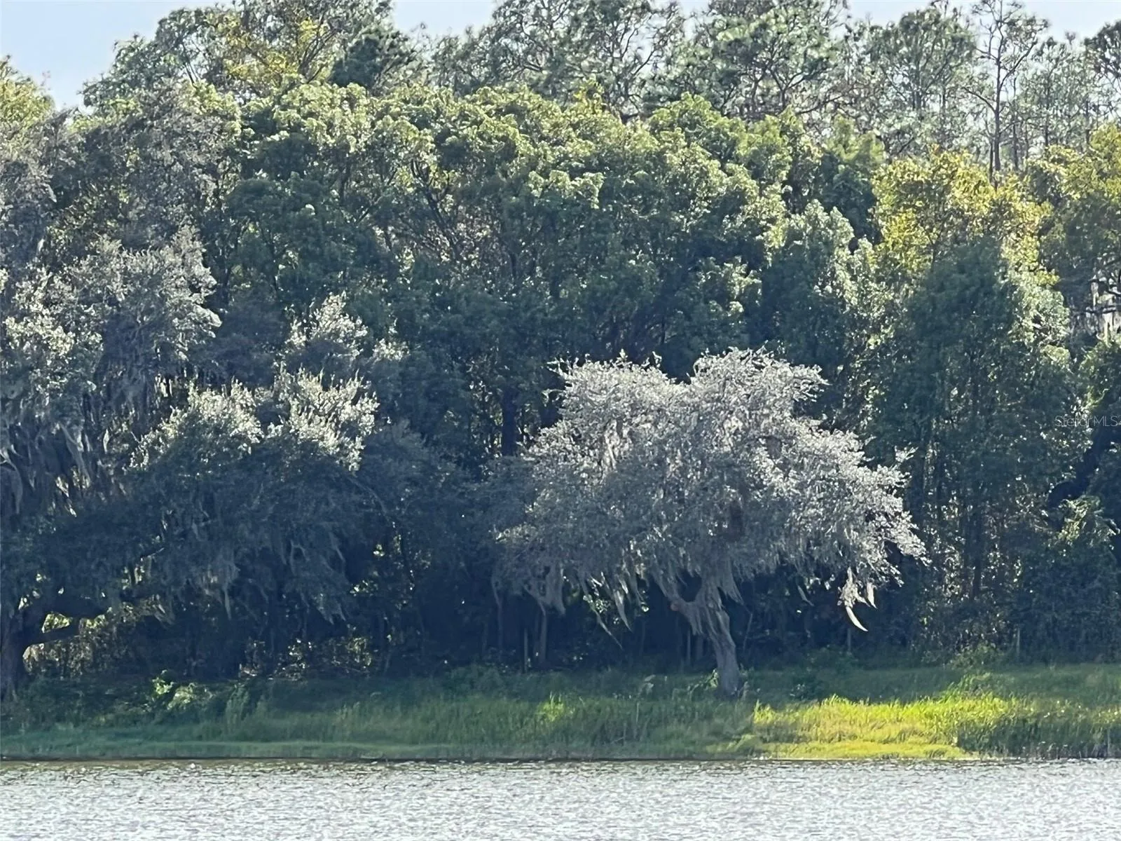 Ocklawaha, Florida 32179, 0 , 0 ,0,Land,For Sale,74TH LANE,0,OM662082