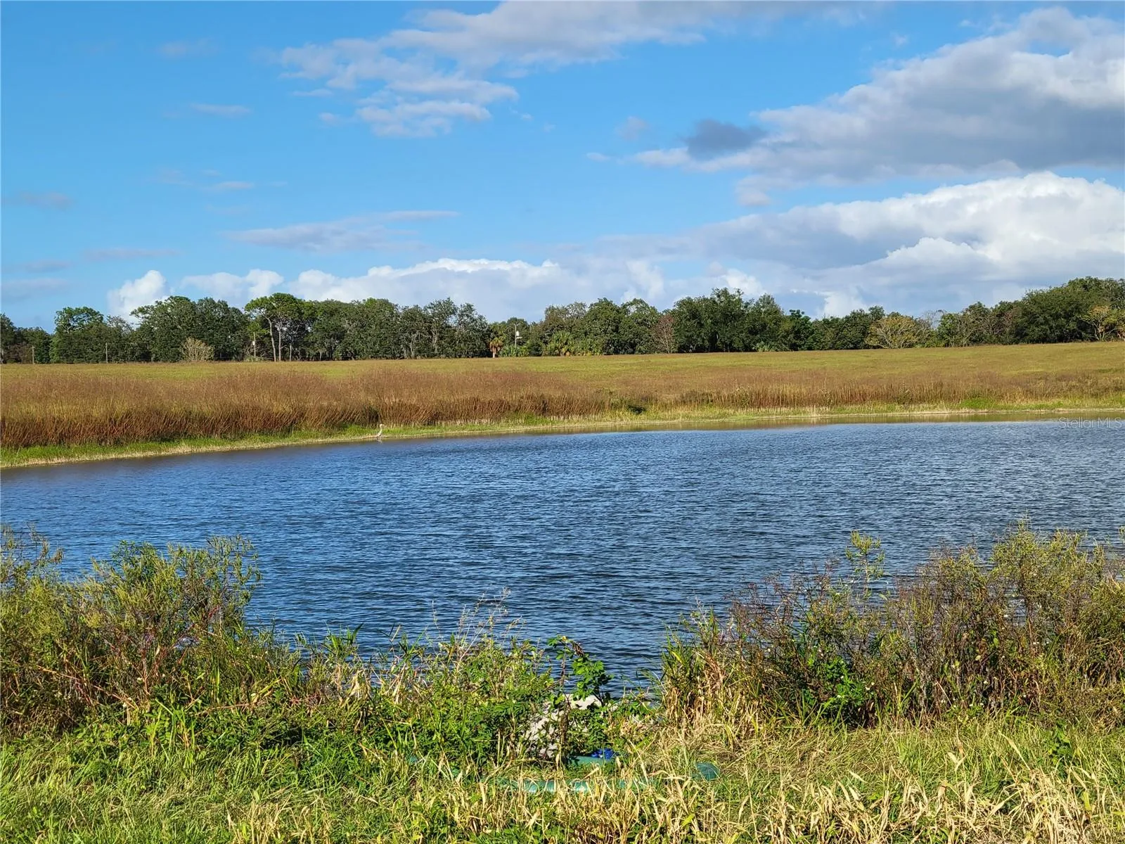 Ocklawaha, Florida 32179, 0 , 0 ,0,Land,For Sale,74TH LANE,0,OM662082