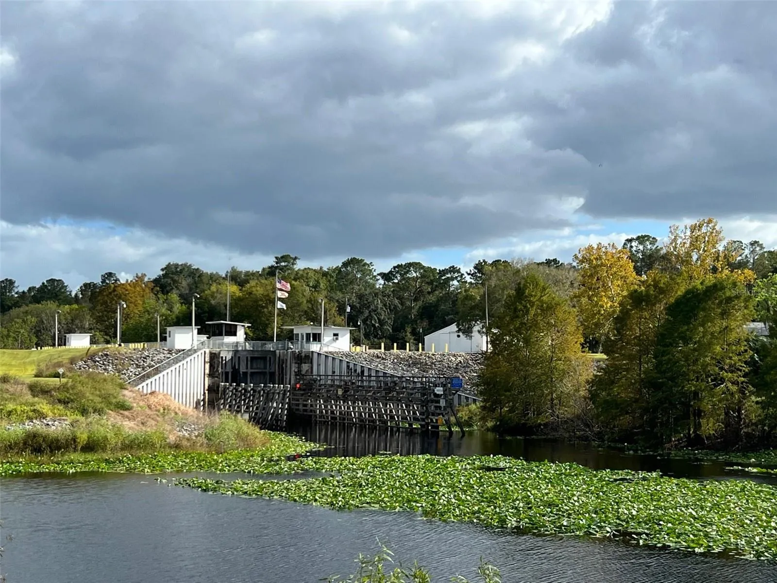 Ocklawaha, Florida 32179, 0 , 0 ,0,Land,For Sale,74TH LANE,0,OM662082