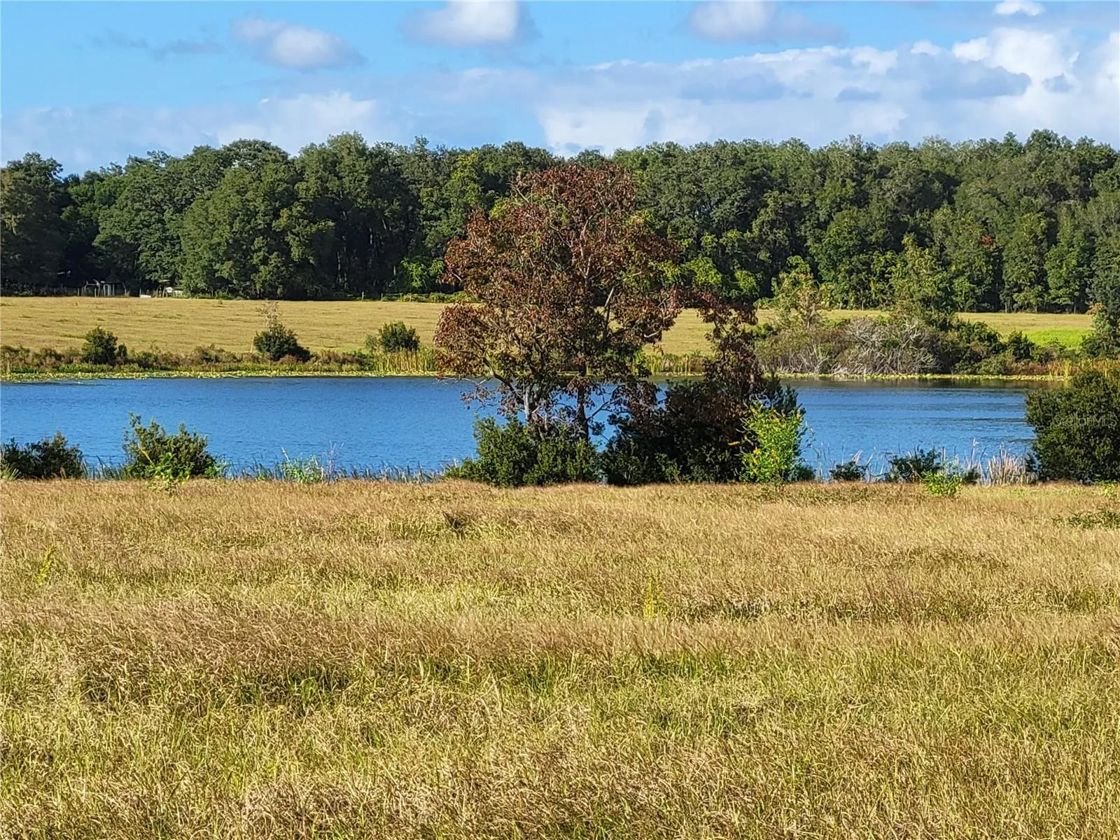 Ocklawaha, Florida 32179, 0 , 0 ,0,Land,For Sale,74TH LANE,0,OM662082