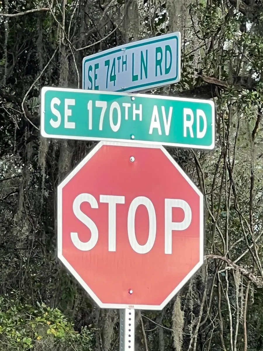 Ocklawaha, Florida 32179, 0 , 0 ,0,Land,For Sale,74TH LANE,0,OM662082