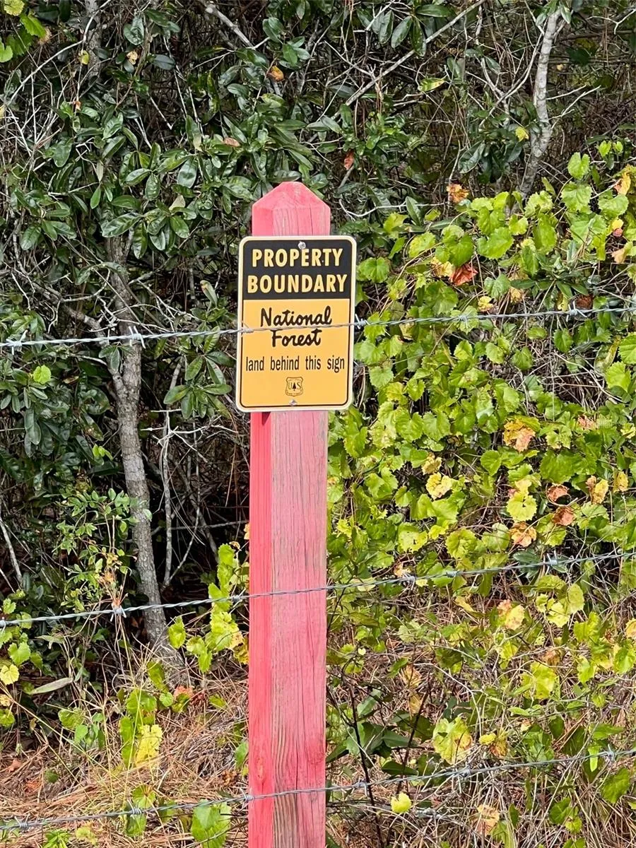 Ocklawaha, Florida 32179, 0 , 0 ,0,Land,For Sale,74TH LANE,0,OM662082