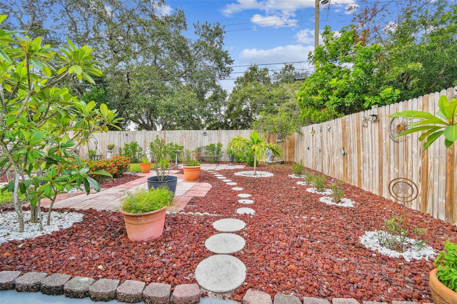 Back yard 3