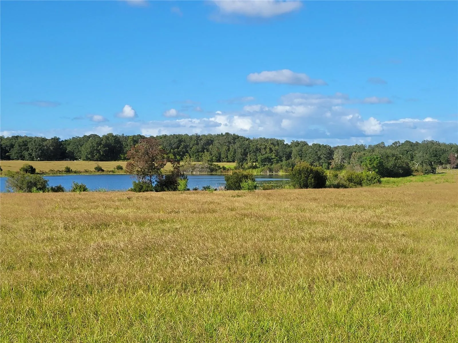 Ocklawaha, Florida 32179, 0 , 0 ,0,Land,For Sale,74TH LANE,0,OM662094