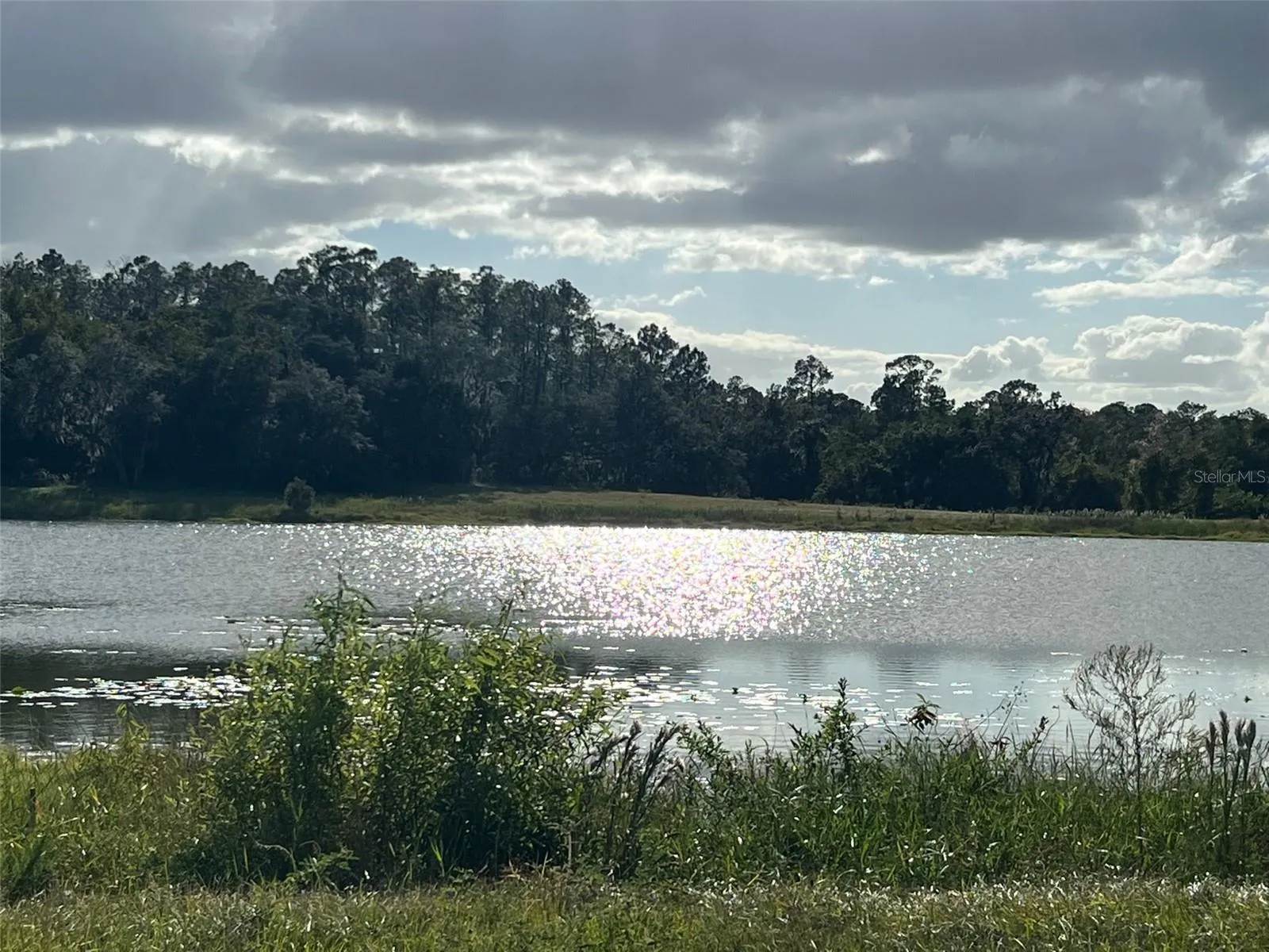 Ocklawaha, Florida 32179, 0 , 0 ,0,Land,For Sale,74TH LANE,0,OM662094