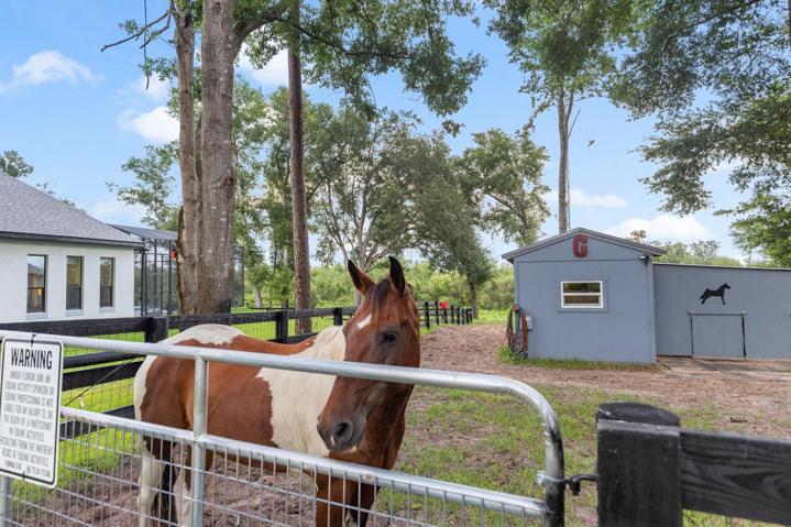 Charlie posing in front of Horse Barn/Stable