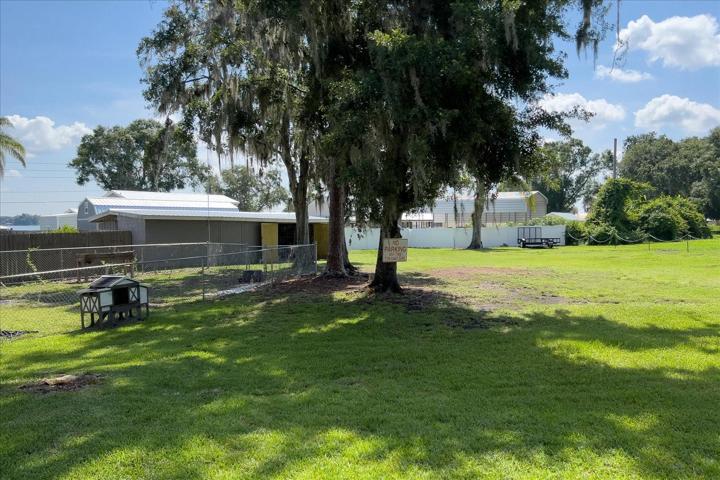 A better view of the back yard from Don Drive.