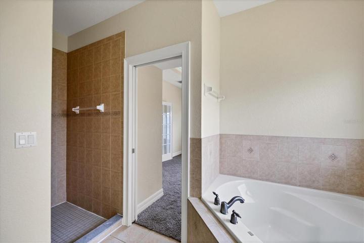 Master bathroom