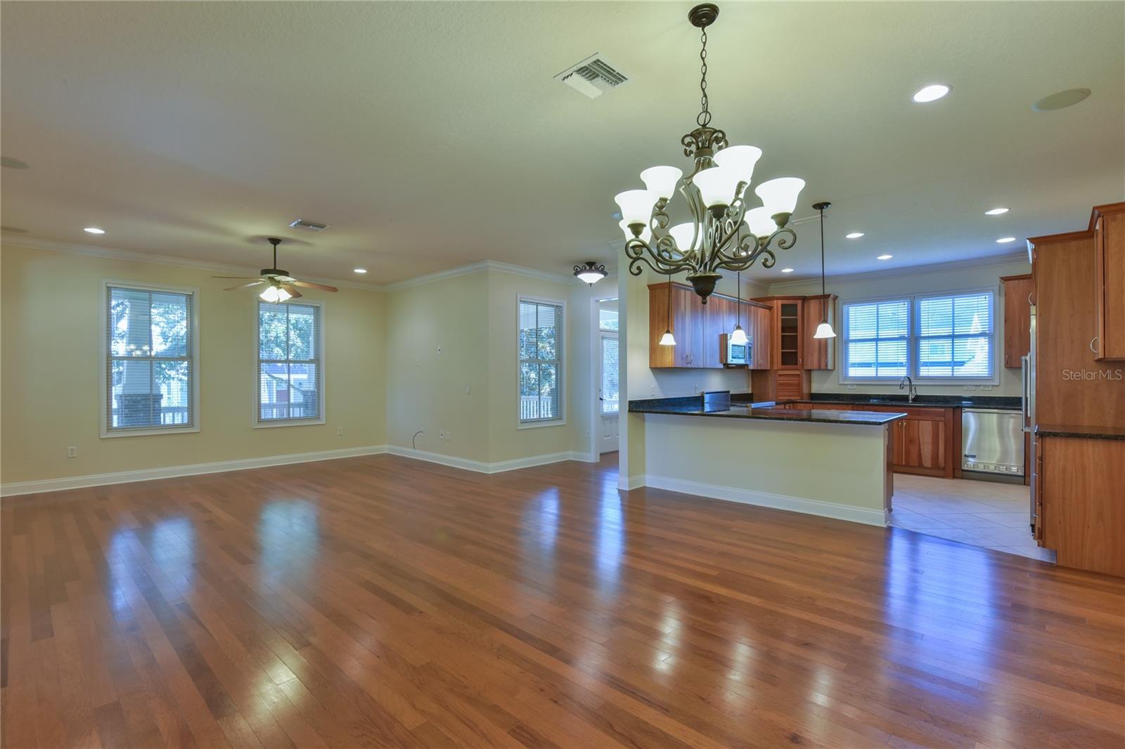 Living room/kitchen