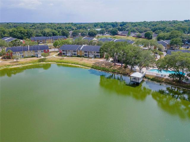 Aerial Views