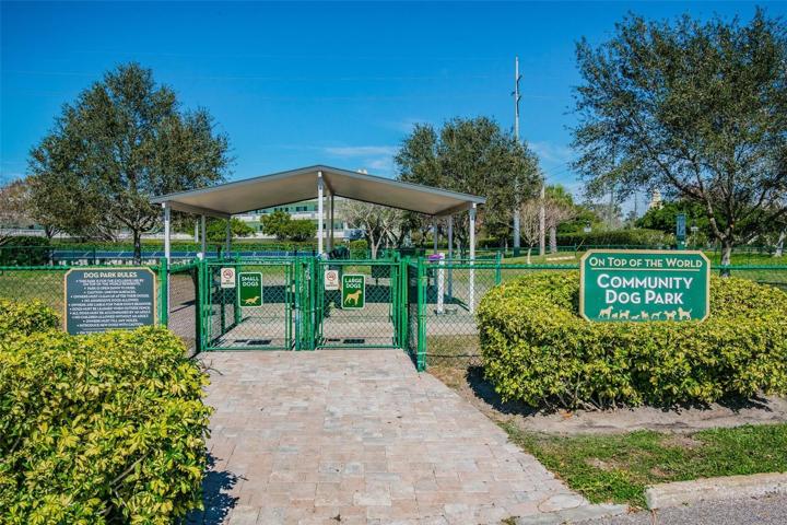 Separate dog parks for small and large dogs.