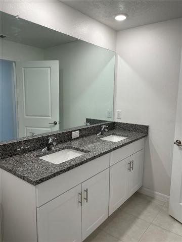 Master bath, dual sinks