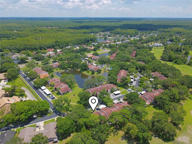 Tarpon Woods Community