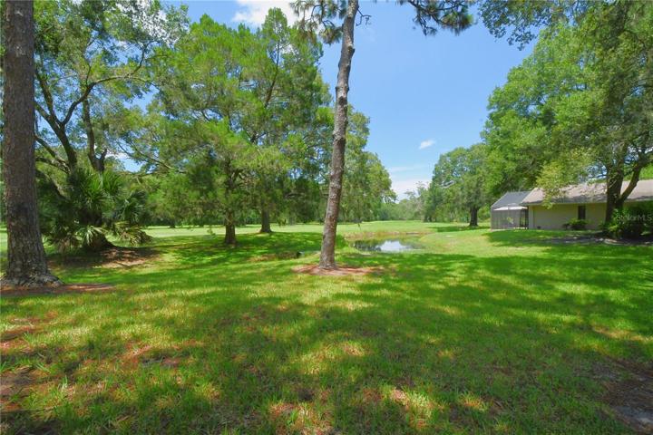 Right Backyard view