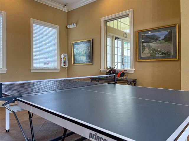 Ping Pong