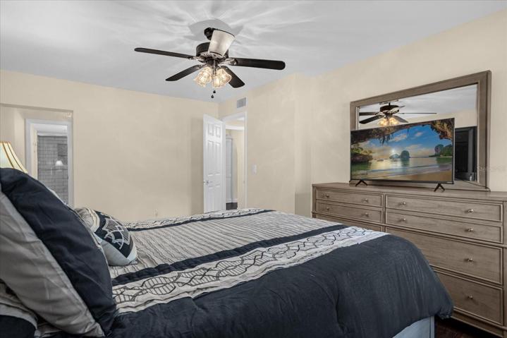 Plantation Shutters