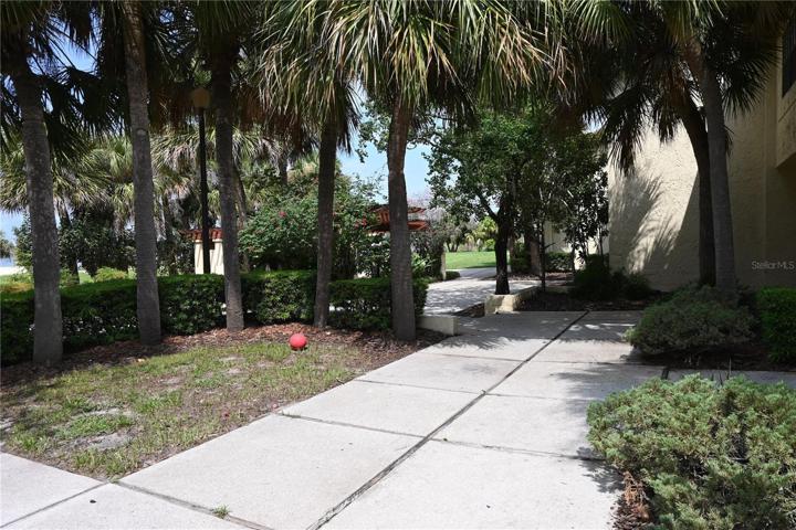 Back Yard to Condo B21