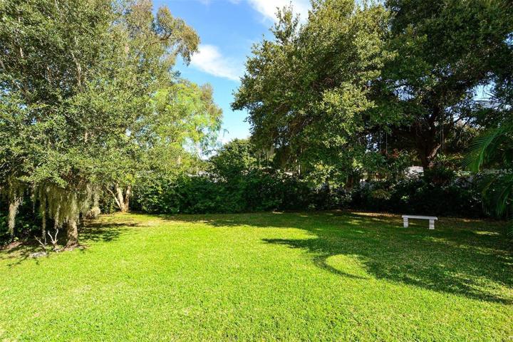 Back yard view