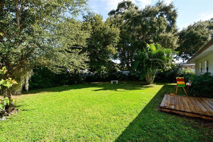 Back yard