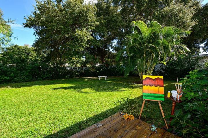 Back yard area