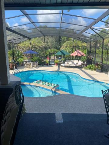 POOL AND REAR PORCH