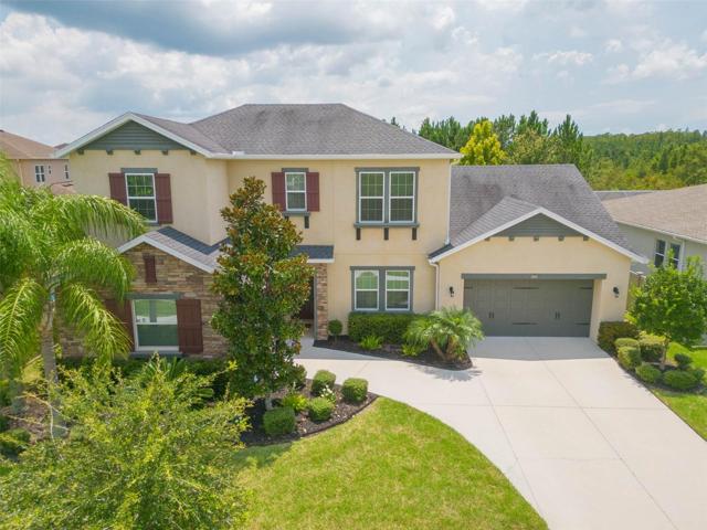 Beautiful curb appeal
