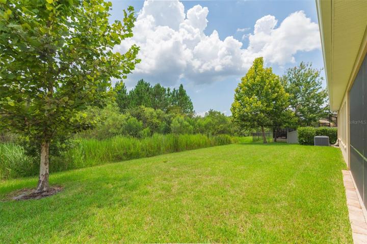 backyard conservation area