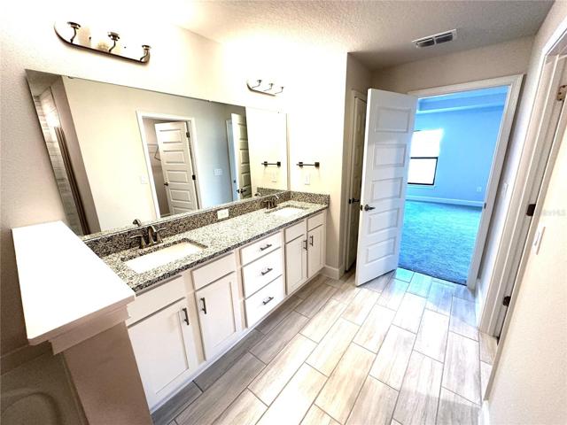 Sample Home - Owners Double Vanity