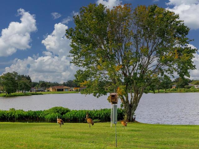 View of lake