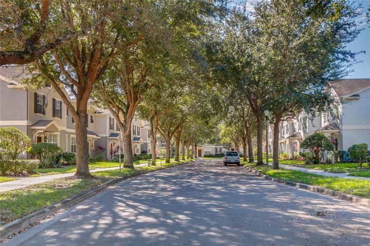 Tree-lined streets.